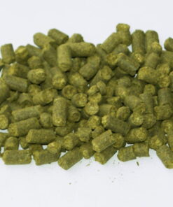 Hmelj Styrian Golding B - Bobek - 100 g