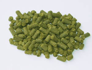 Hmelj MAGNUM - 100 g