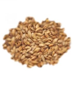 BEST MALZ MUNICH - SLAD - 25 KG