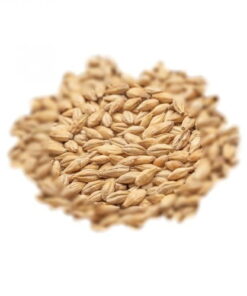 BEST MALZ CARAMEL® PILS  - SLAD - 25 KG