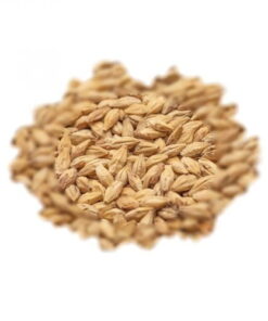 BEST MALZ CARAMEL® AROMATIC  - SLAD - 25 KG