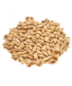 BEST MALZ HEIDELBERG - SLAD - 25 KG