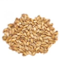 BEST MALZ MELANOIDIN LIGHT - SLAD - 25 KG