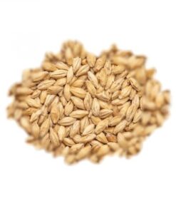 BEST MALZ PALE ALE - SLAD - 25 KG