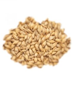 BEST MALZ PILSEN- SLAD - 25 KG