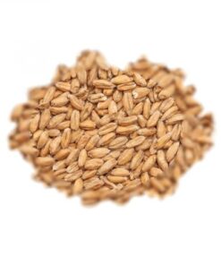 BEST MALZ SPELT - SLAD - 25 KG