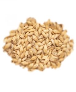 BEST MALZ VIENNA - SLAD - 25 KG