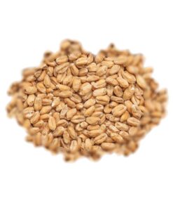 BEST MALZ PŠENICNI - SLAD - 5 KG